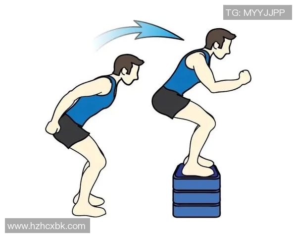 全面解析体能训练流程 从基础到进阶的全方位指导